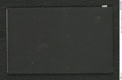 Seite 49, Tagebuch "1919 | Lang-Mannersdorf | Heft 1" (NHMW-PRAE-BBB-09)